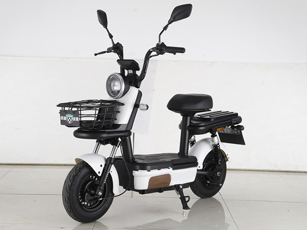 Two-wheeled electric bike